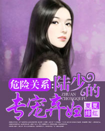 危险关系:陆少的专宠弃妇